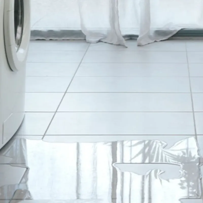 Appliance Leak Cleanup in Bremen, GA