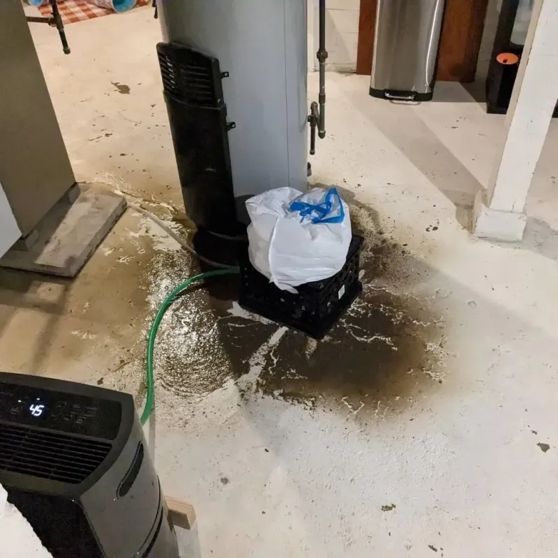 Sewage Backup Cleanup Service in Bremen, GA